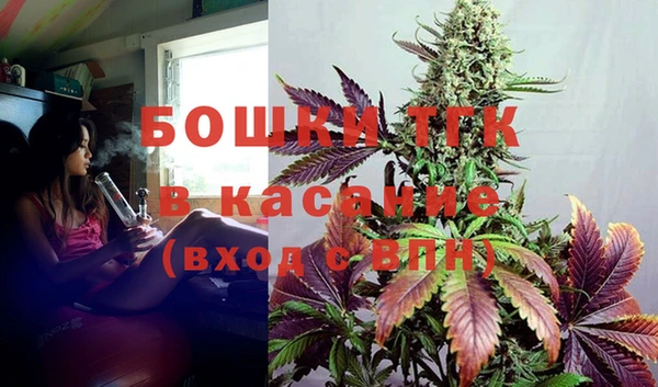 ГАЛЛЮЦИНОГЕННЫЕ ГРИБЫ Арсеньев