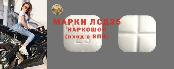 спиды Аркадак