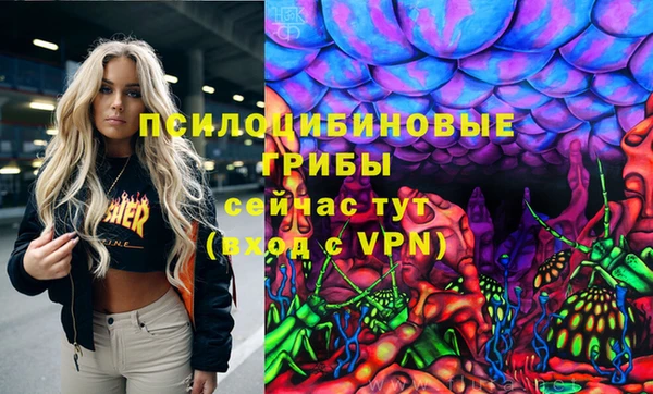 спиды Аркадак