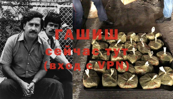 ГАЛЛЮЦИНОГЕННЫЕ ГРИБЫ Арсеньев
