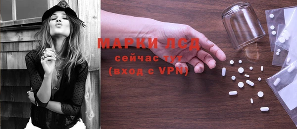 ГАЛЛЮЦИНОГЕННЫЕ ГРИБЫ Арсеньев