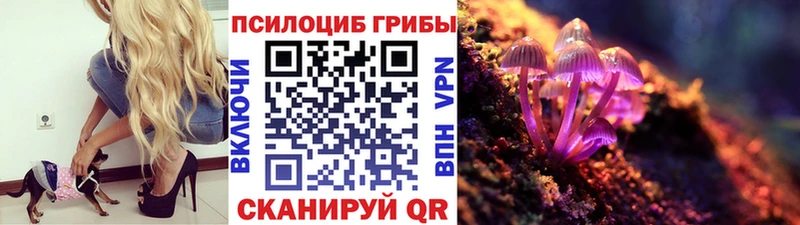 Галлюциногенные грибы прущие грибы  наркота  Спасск 